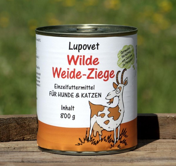 Wilde Weide-Ziege